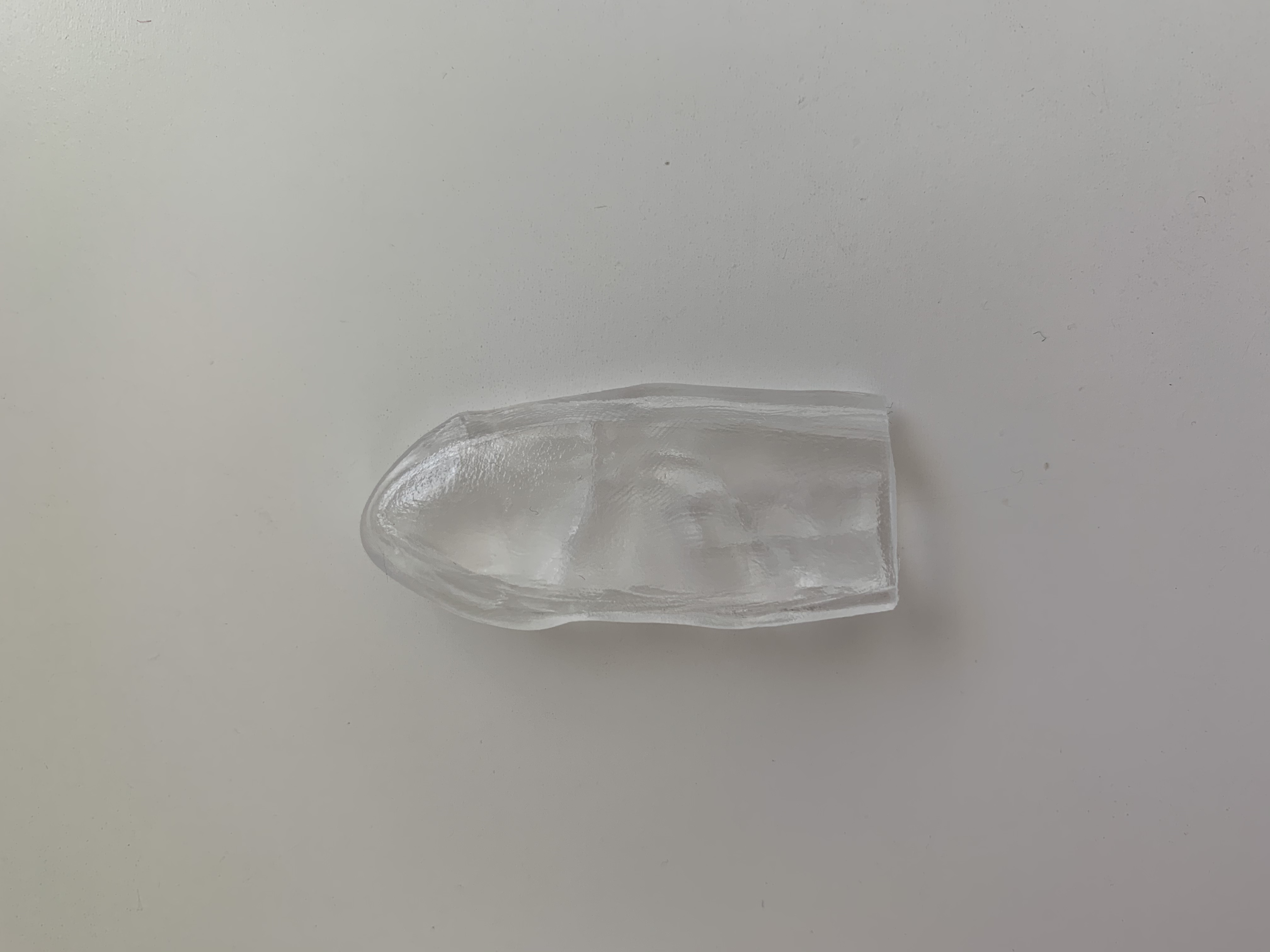 photo of resin petal model